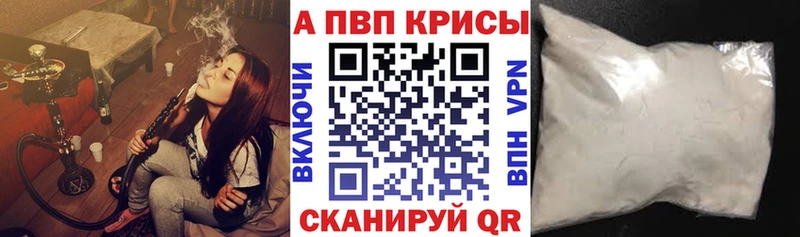 А ПВП крисы CK Кингисепп