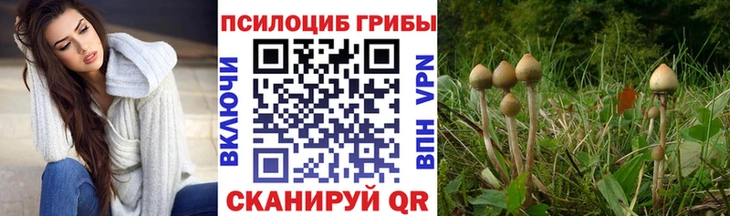 Галлюциногенные грибы Magic Shrooms  Кингисепп 
