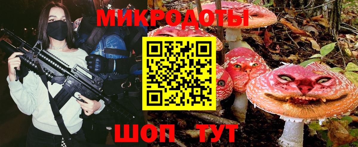 Псилоцибиновые грибы GOLDEN TEACHER Кингисепп
