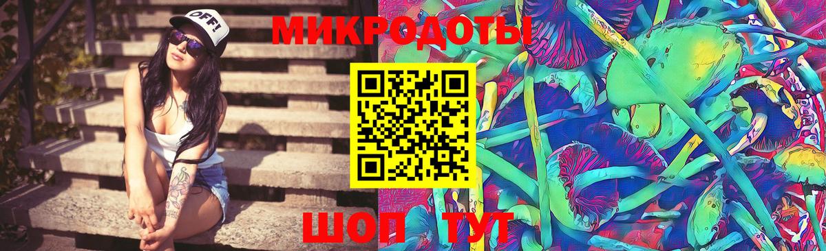 Псилоцибиновые грибы прущие грибы  Псилоцибиновые грибы мицелий  Вход с VPN  Кингисепп 