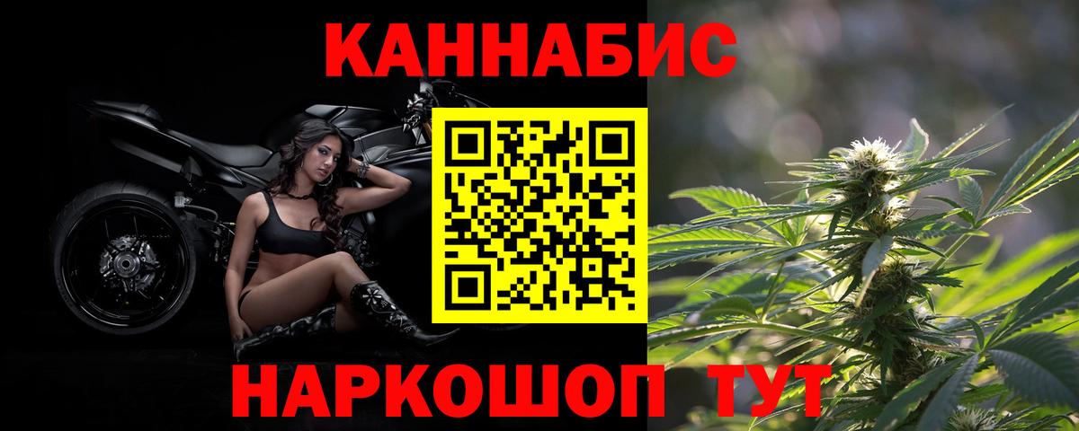 Марихуана конопля Кингисепп